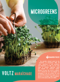 mikrogrönsaker